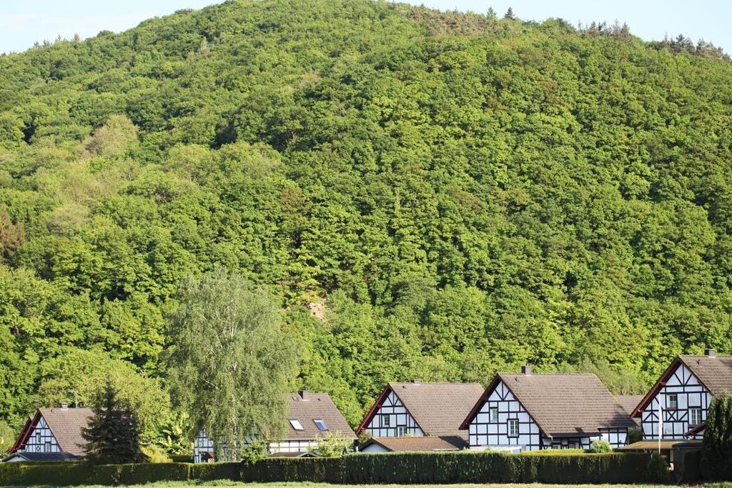 尼蒂戈恩Bos En Kasteel公寓 外观 照片